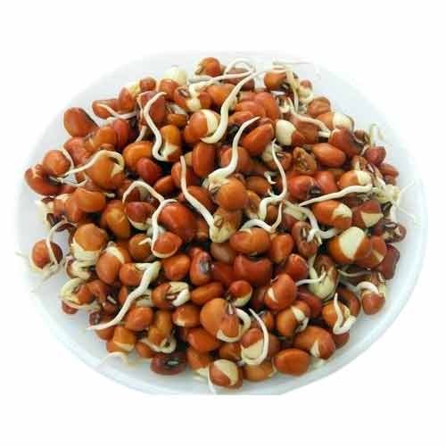Dry Sprouted Horse Beans