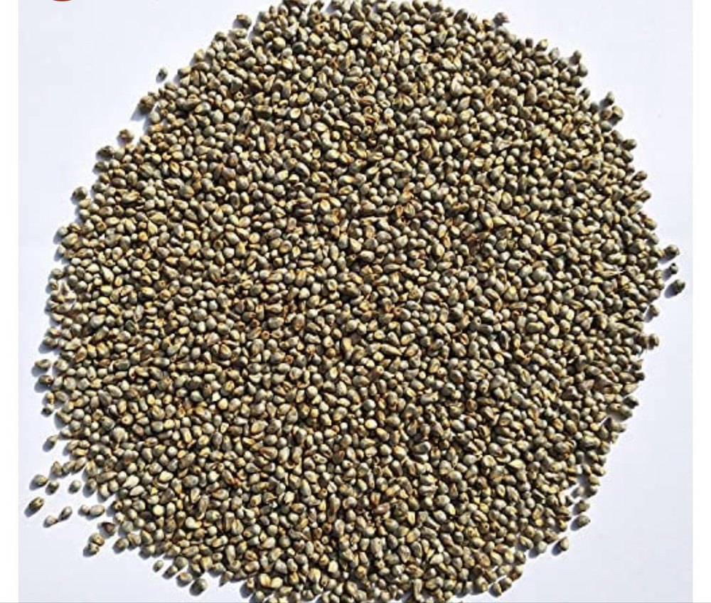 Deshi & Hybrid Bajra, Pearl Millet, Organic