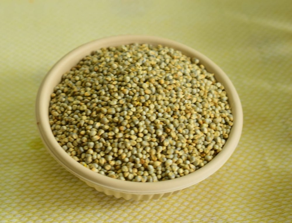 Green Fresh Pearl Millet, Organic