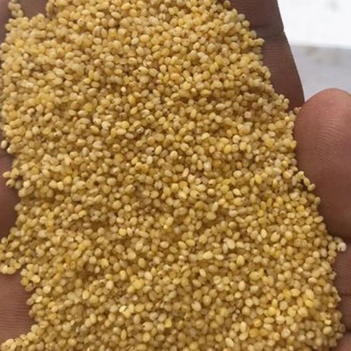 Yellow Polished Thinai Foxtail Rice, High in Protein