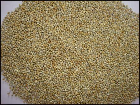 Indian Brown Bajra, Gluten Free
