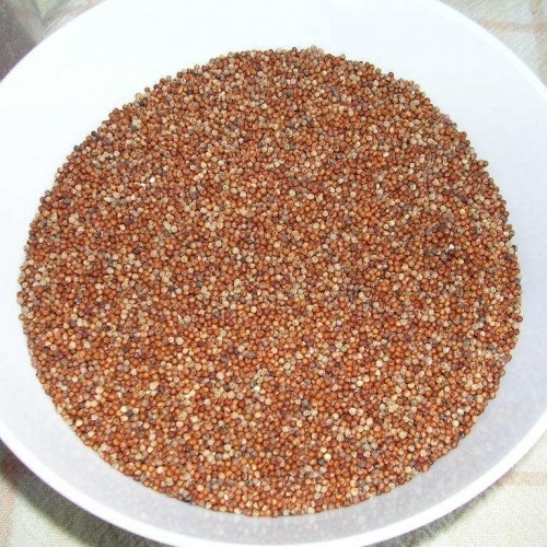 Brown Seeds Organic Ragi Millets, Packaging Size: 1 kg, High in Protein