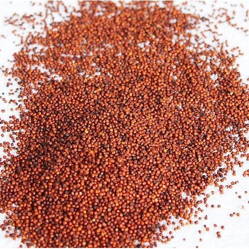 Finger Millet - Ragi, Gluten Free