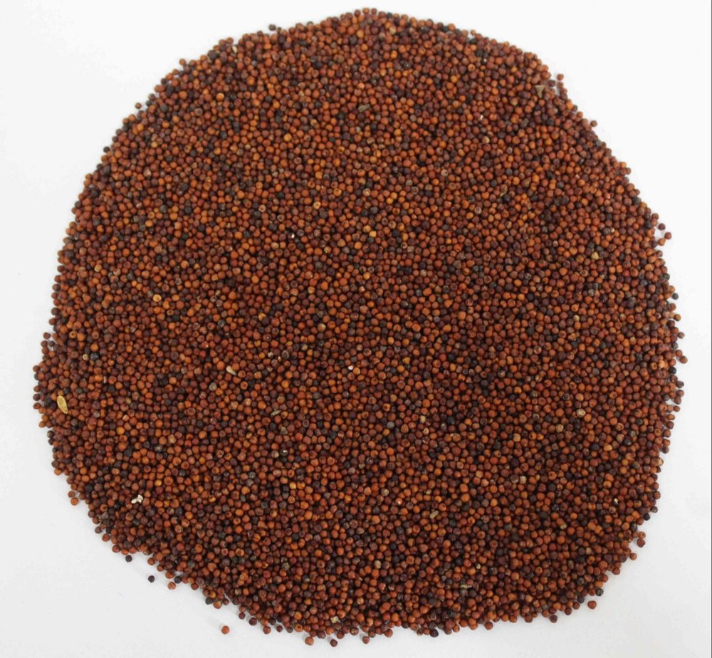 Seeds Ragi Whole, Gluten Free