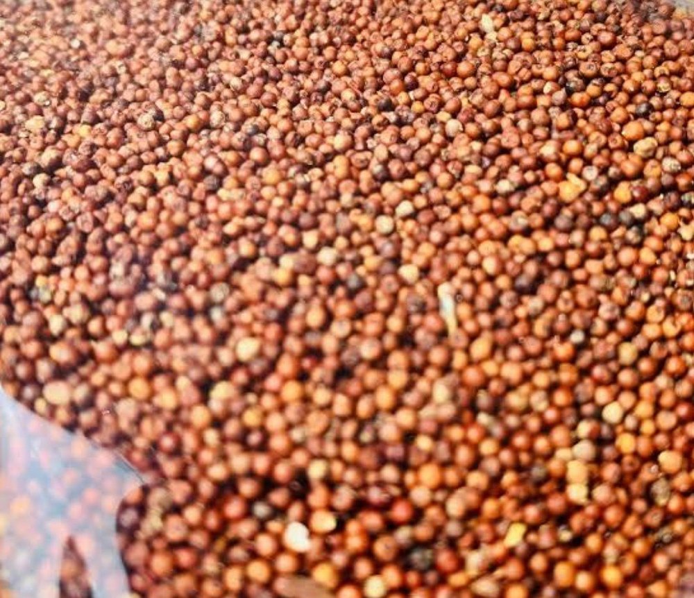 Finger Millet Ragi, Gluten Free