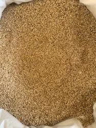 Seeds Golden Steel Cut Roll Oats, Packaging Type: Loose, High in Protein