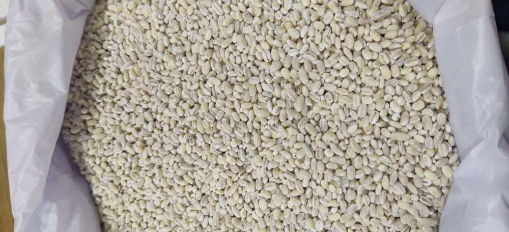 White Barley, Size: 25 Kgs, High in Protein