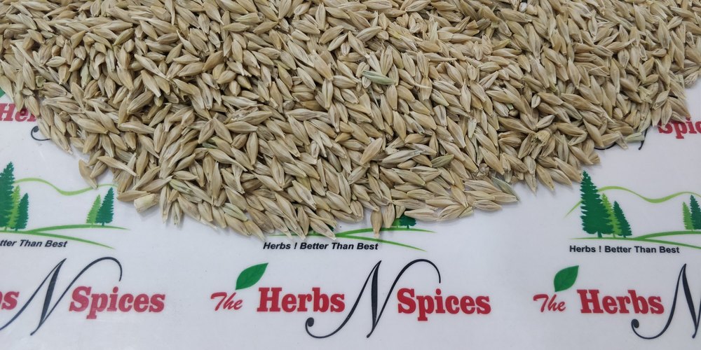 Sinhal Jau - Barley Seeds, Gluten Free, High in Protein