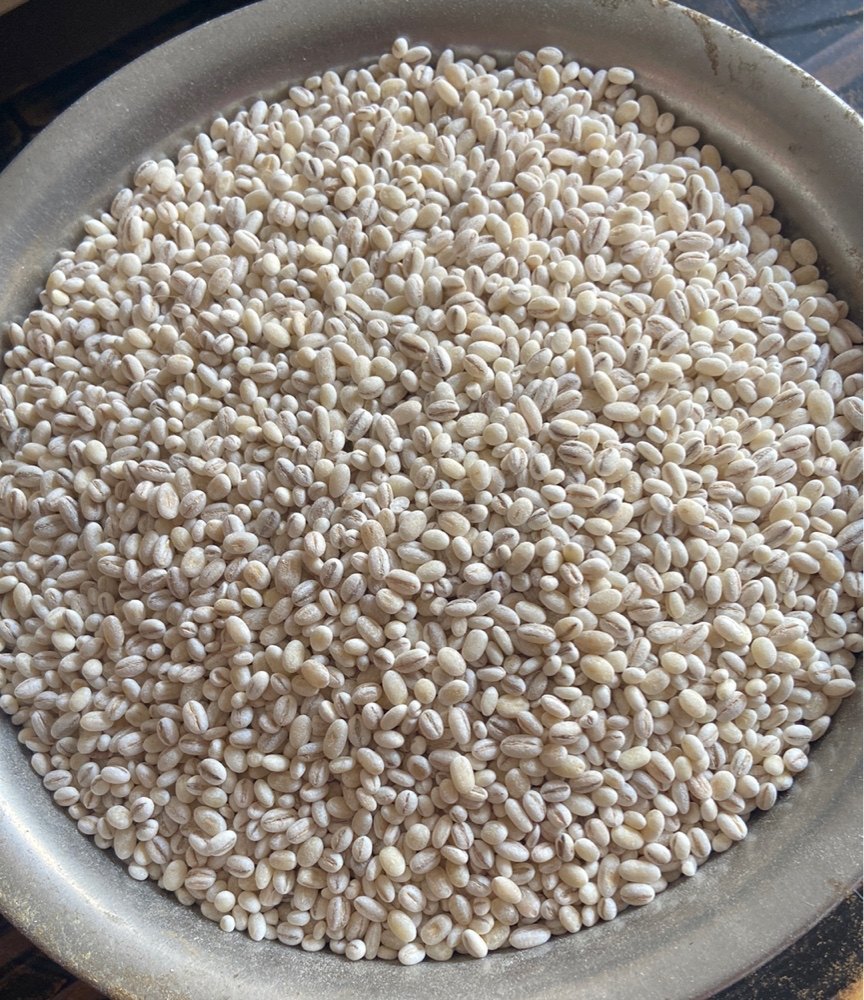 White Barley/ Pearl Bearlee, High in Protein