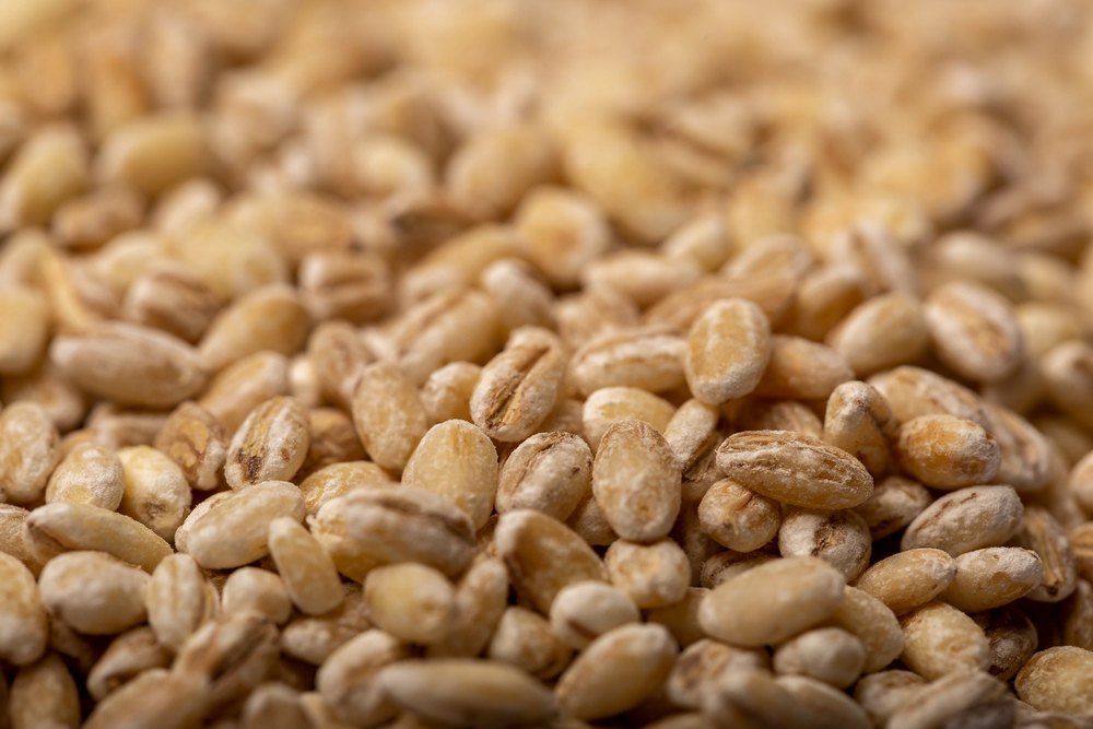 Jiwa Organic Pearl Barley, Packaging Size: 25 Kg