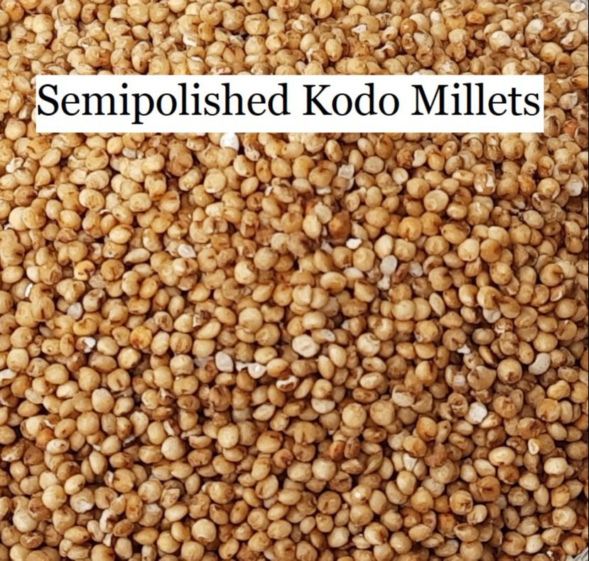 Sortex Cleaned Kodo Millets, Gluten Free