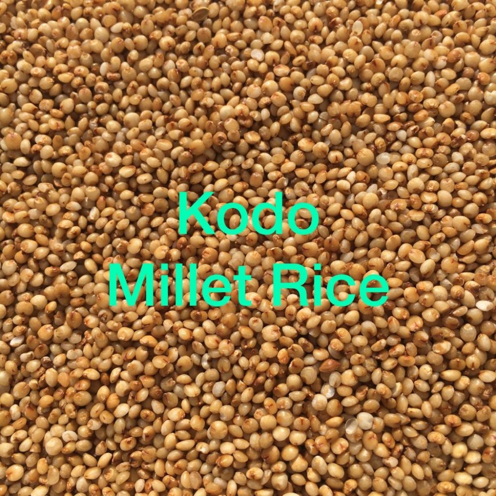 Kodo Millet