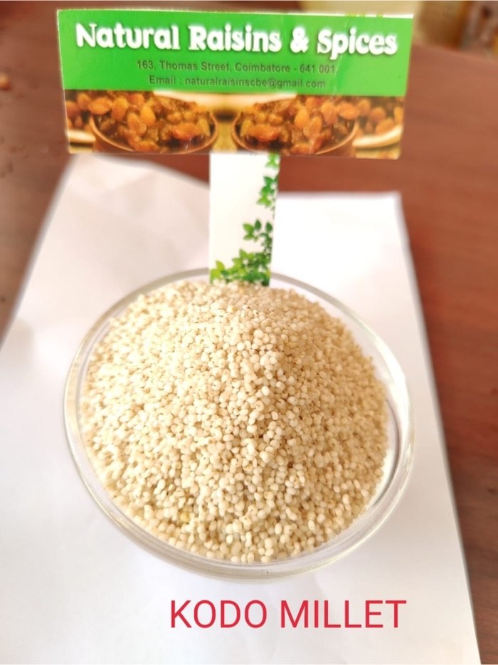 White Kodo Millet (Varagu Arisi), Packaging Size: 25kg, High in Protein
