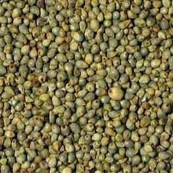 Whole Bajra, High in Protein