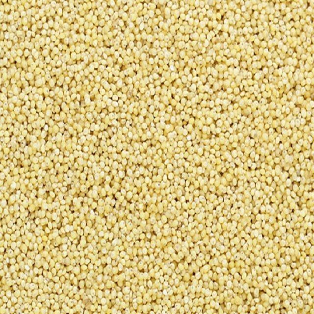 Yellow Little Millet, Pack Size: 50 Kg