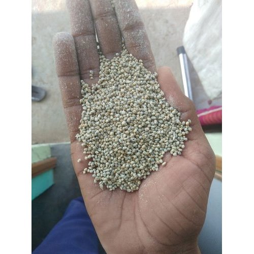 100 Kg Green Millet, High in Protein