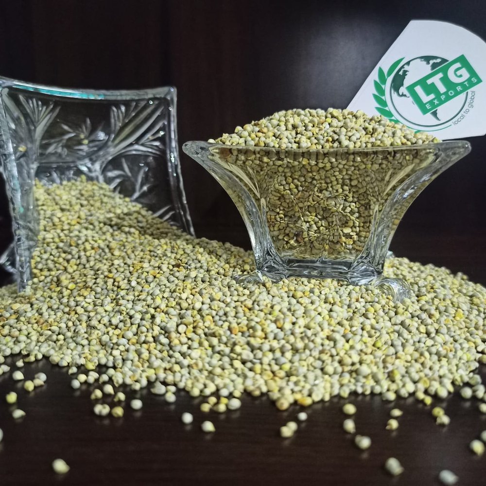 Green Millet Seed
