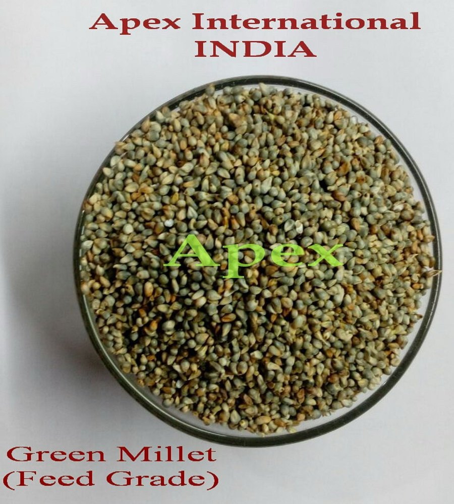 Food Grade and Feed Grade Green Millet