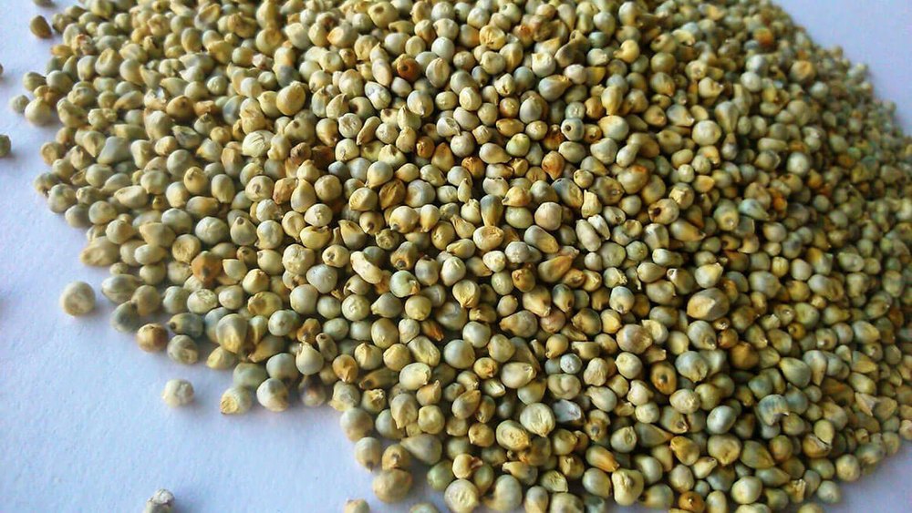 Green Millet