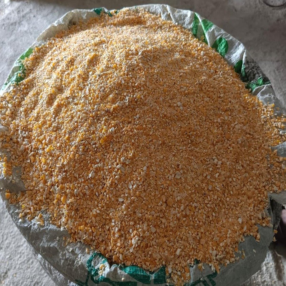 Yellow Maize Corn Grit, Organic