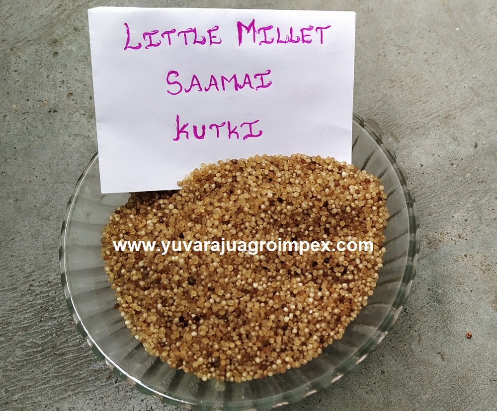 Little Millet Parboiled / Samai Pulungal, Packaging Size: 25 Kg