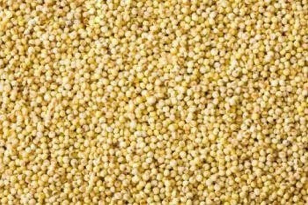 Yellow Little Millet, Packaging Size: 500gm, High in Protein