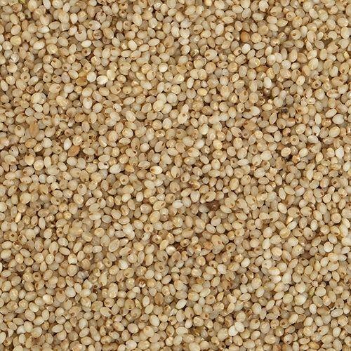 Brown Little Millet, High in Protein