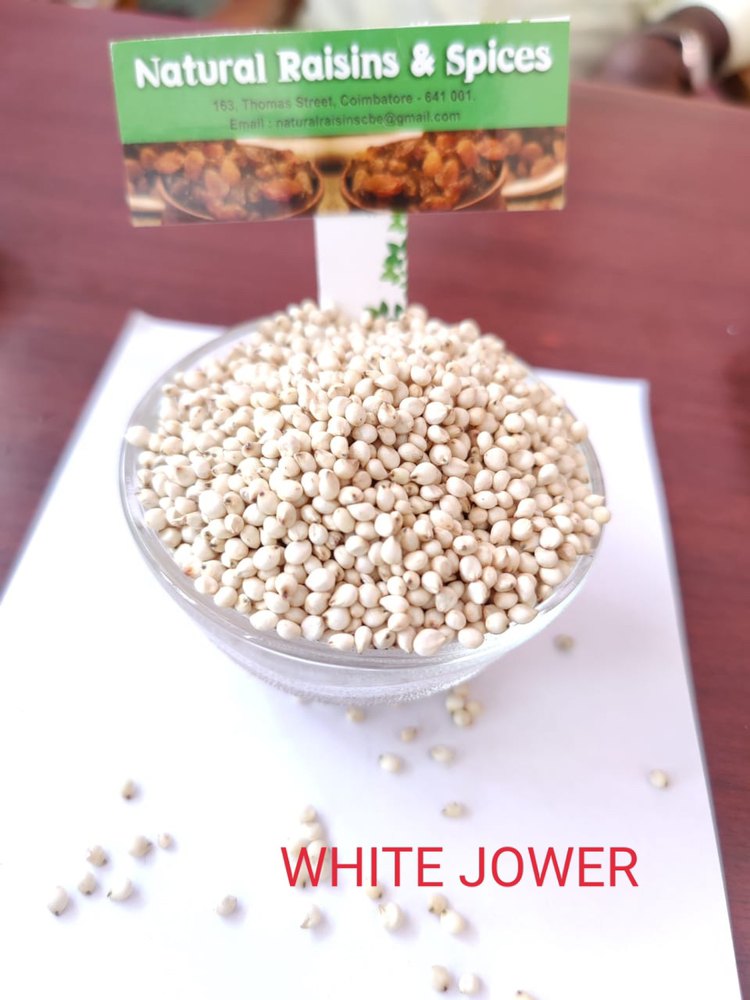 Premium White Jowar (White Cholam), Gluten Free