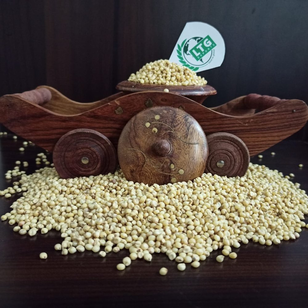 Sorghum Millet Seed