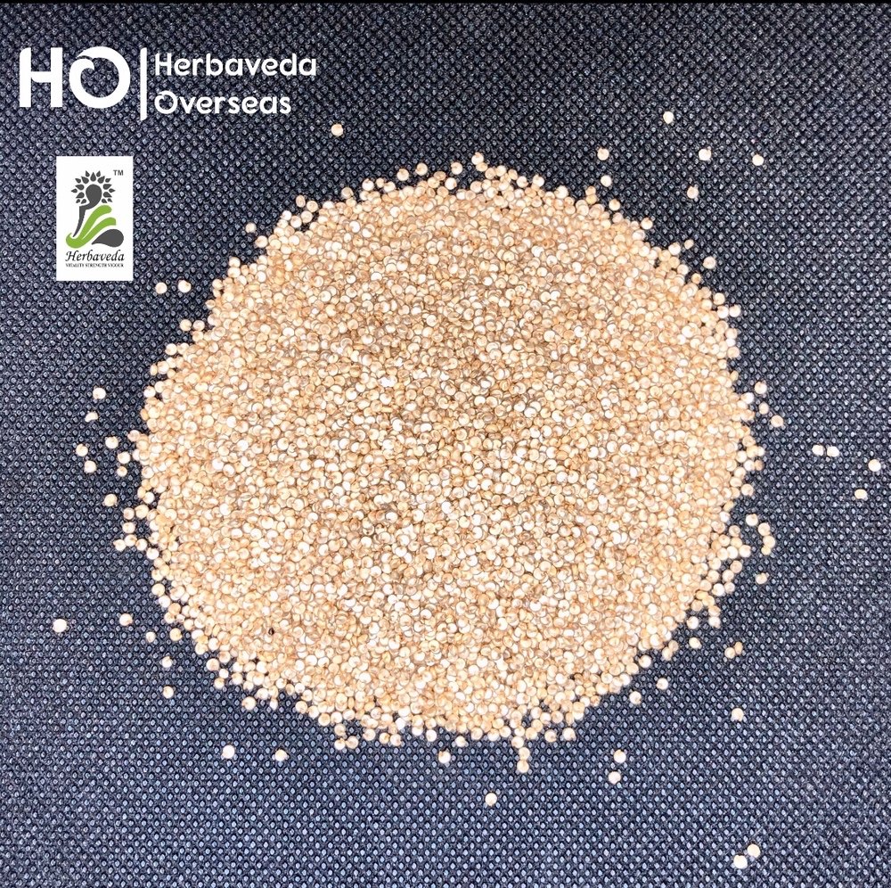 Indian HERBAVEDA Quinoa Seeds Chenopodium Quinoa