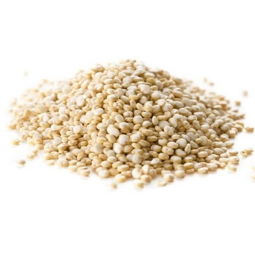 Indian White Quinoa Seed - Chenopodium Quinoa, Packaging Size: 50 Kg, High in Protein