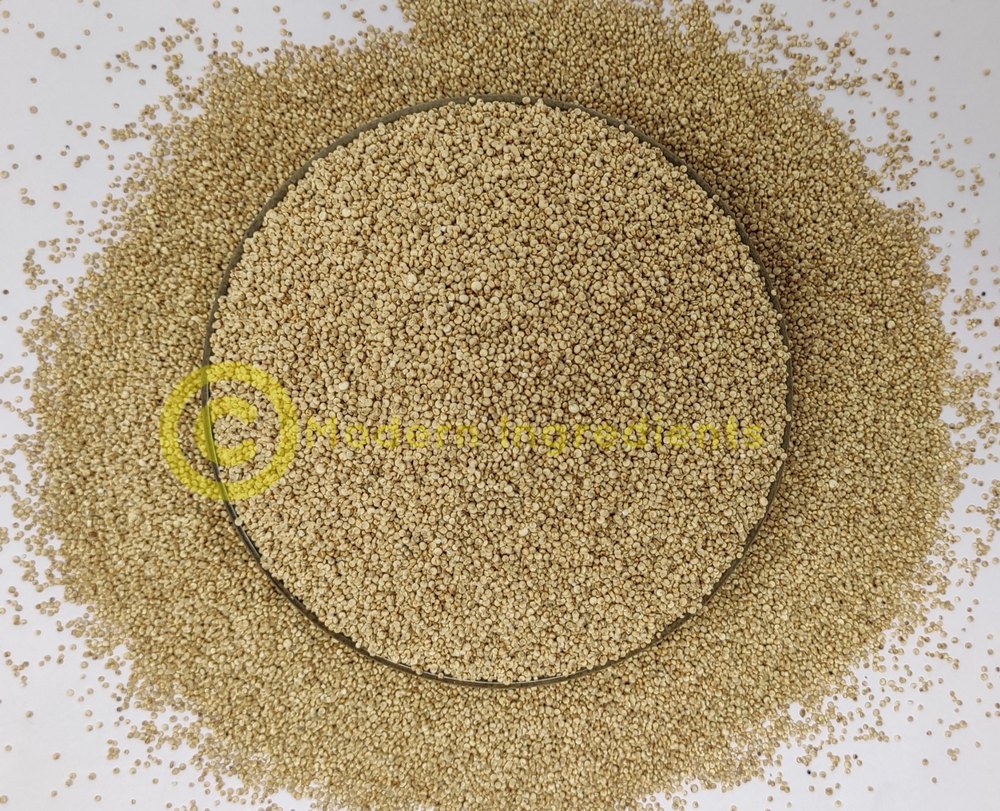 Indian Quinoa Seeds, Packaging Size: 25kg, High In Protein