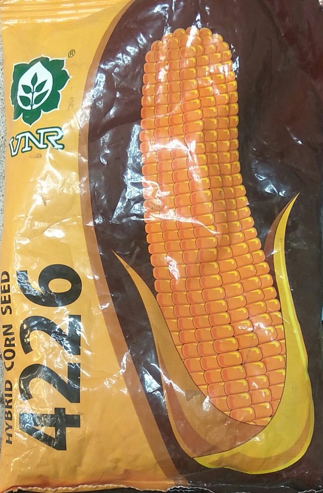 VNR Seeds Maize /Corn ( VNR - 4226 ), Usage: For Cultivation