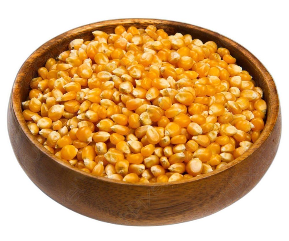 Yellow Raw Maize, Organic