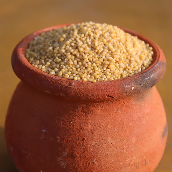 Brown Organic Foxtail Millet, For Skin And Hair Growth, High in Protein