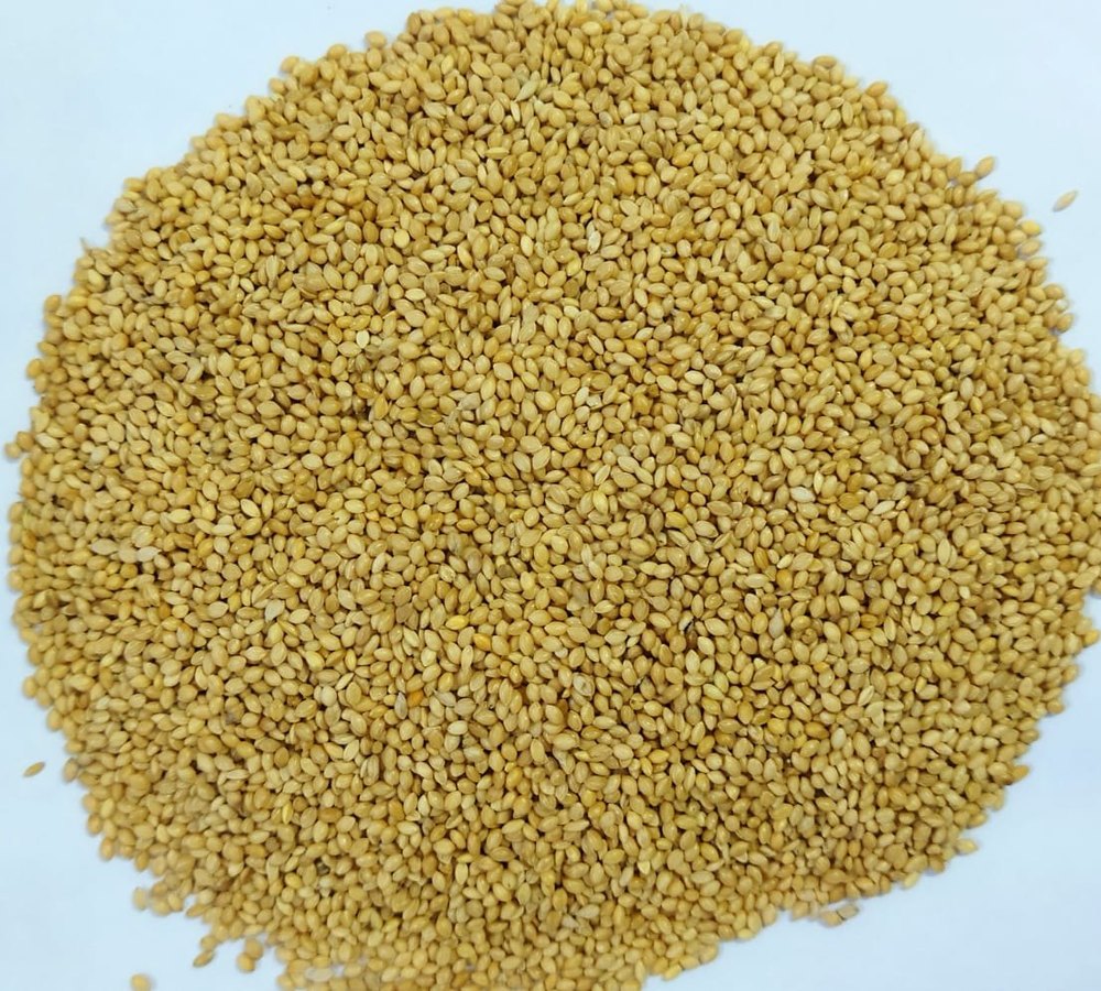 Bird Food Yellow Kangni, High in Protein, Packaging Size: 50 kg