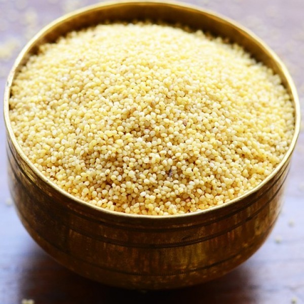 500 Yellow Foxtail Millet