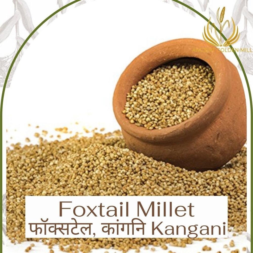 Foxtail Millet, High in Protein