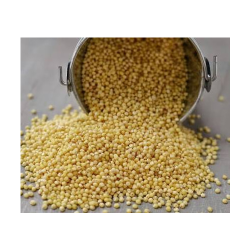 Foxtail Millet, Packaging Size: 25 Kgs, 3 Kgs, High in Protein