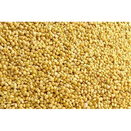 Yellow Millet, High in Protein, Packaging Size: 25kg