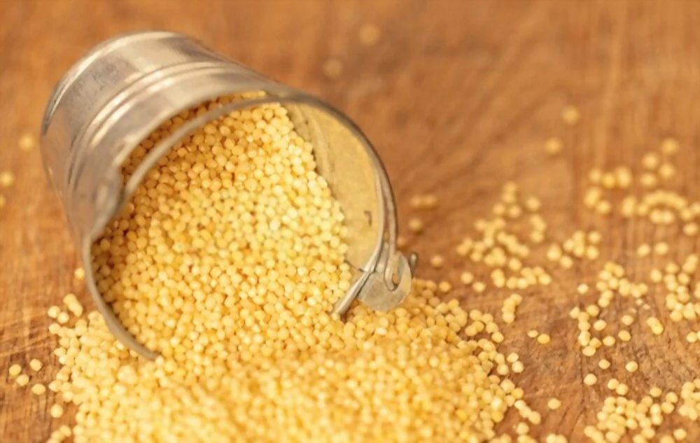 30 kg Yellow Foxtail Millet Thinai / Kakum / Kang / Koralu / Unpolished, Packaging Size: 500g, 30 kg, Gluten Free