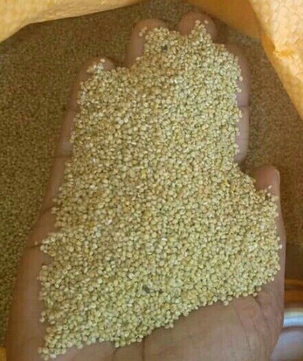 Browntop Millet, Packaging Size: 50 Kg