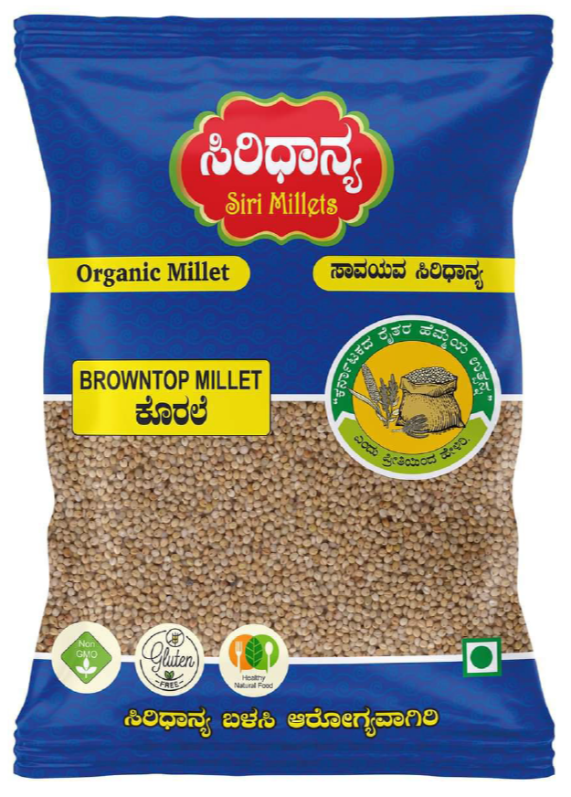 Indian Organic Browntop Millet, For Healthy Natural Food