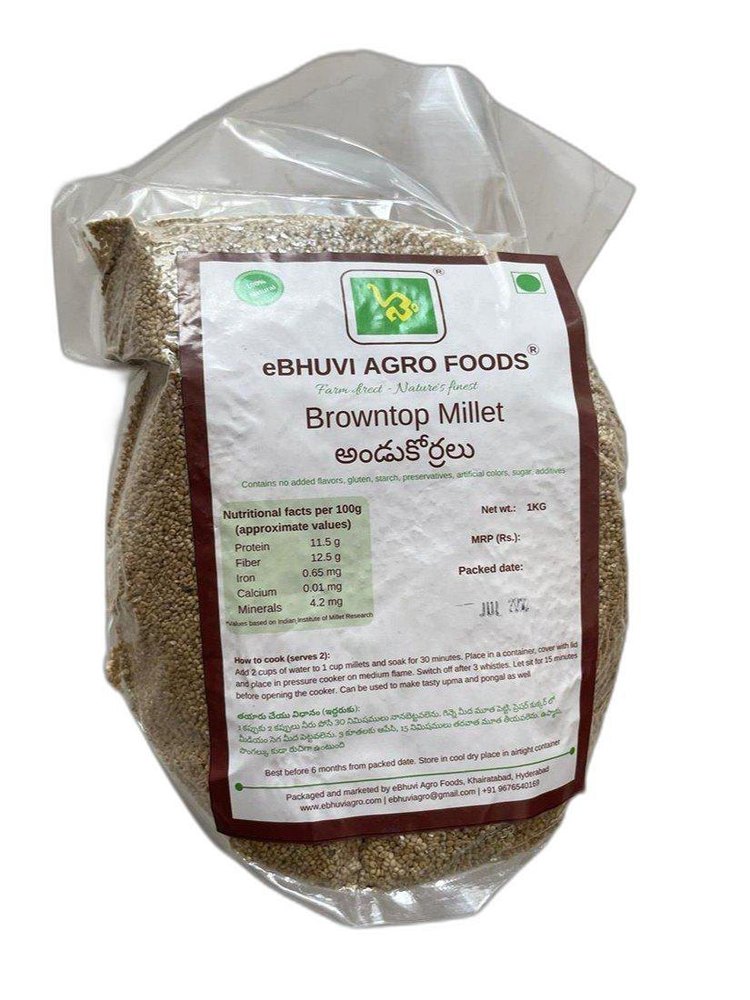 Brown Top Millet, Gluten Free