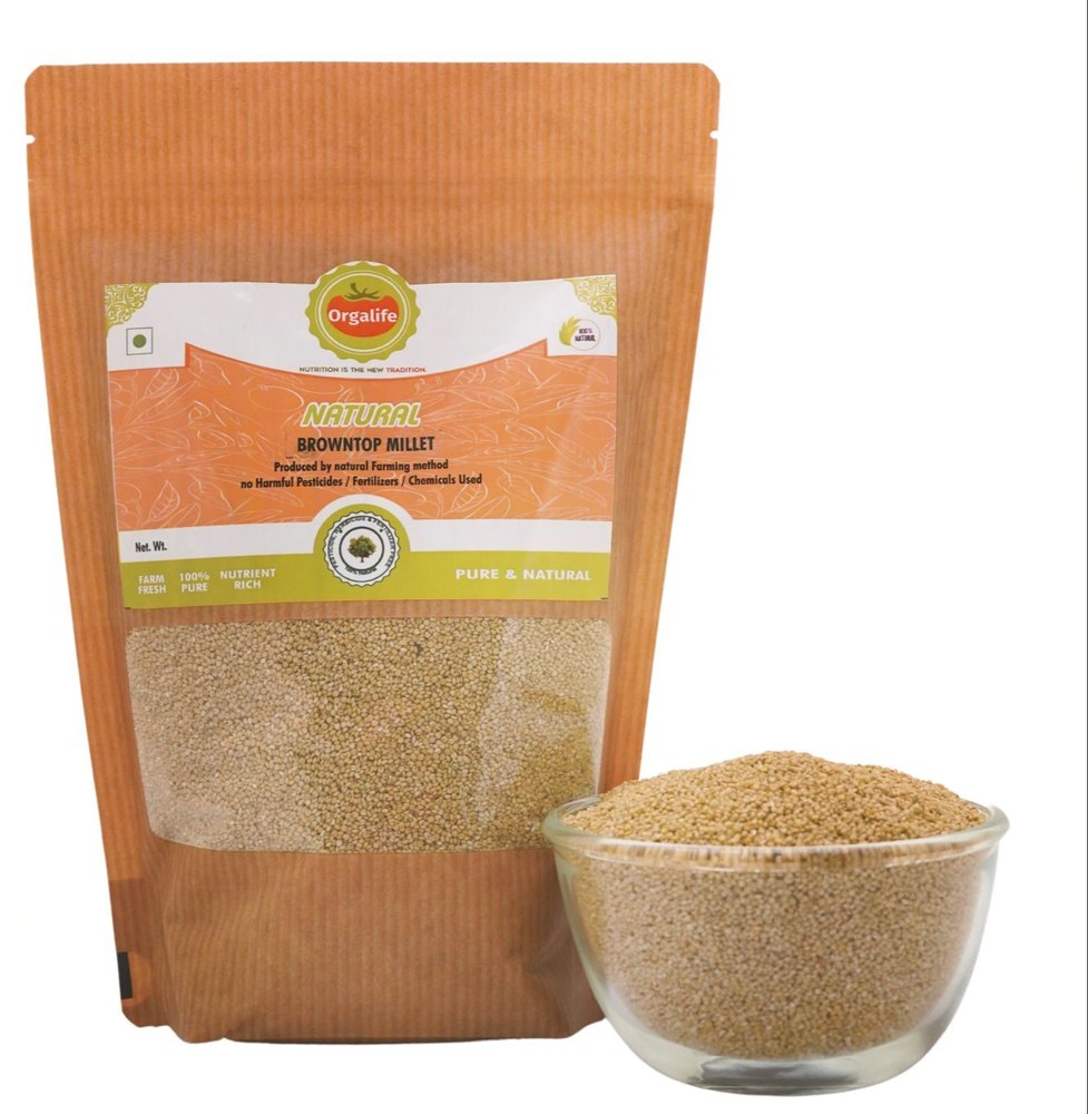 Organic Browntop Millet