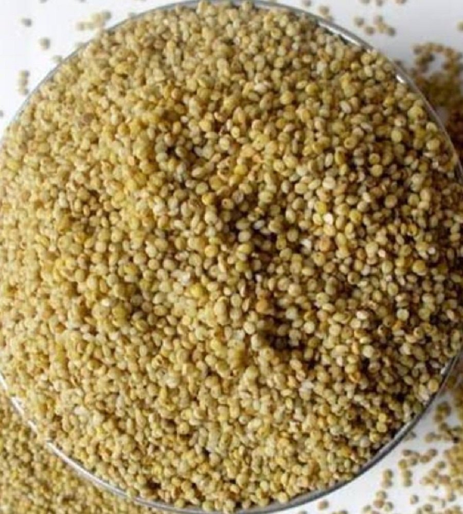 Browntop Millet