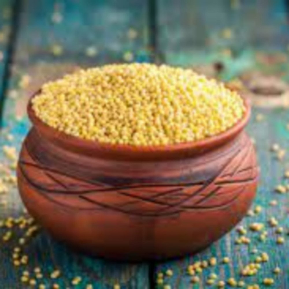 Korle Rice Browntop Millet, 5 Kg, Packaging Type: Plastic Bag