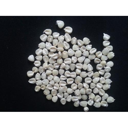 White Maize Corn, Packaging: 50 kg/bag