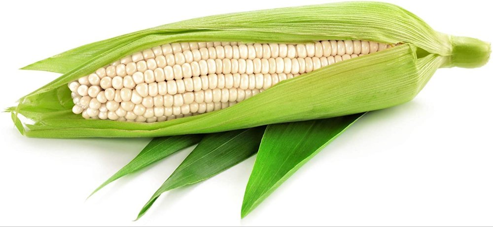 White Corn