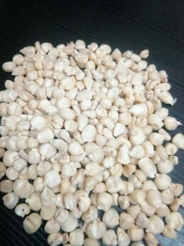 White Maize, High in Protein